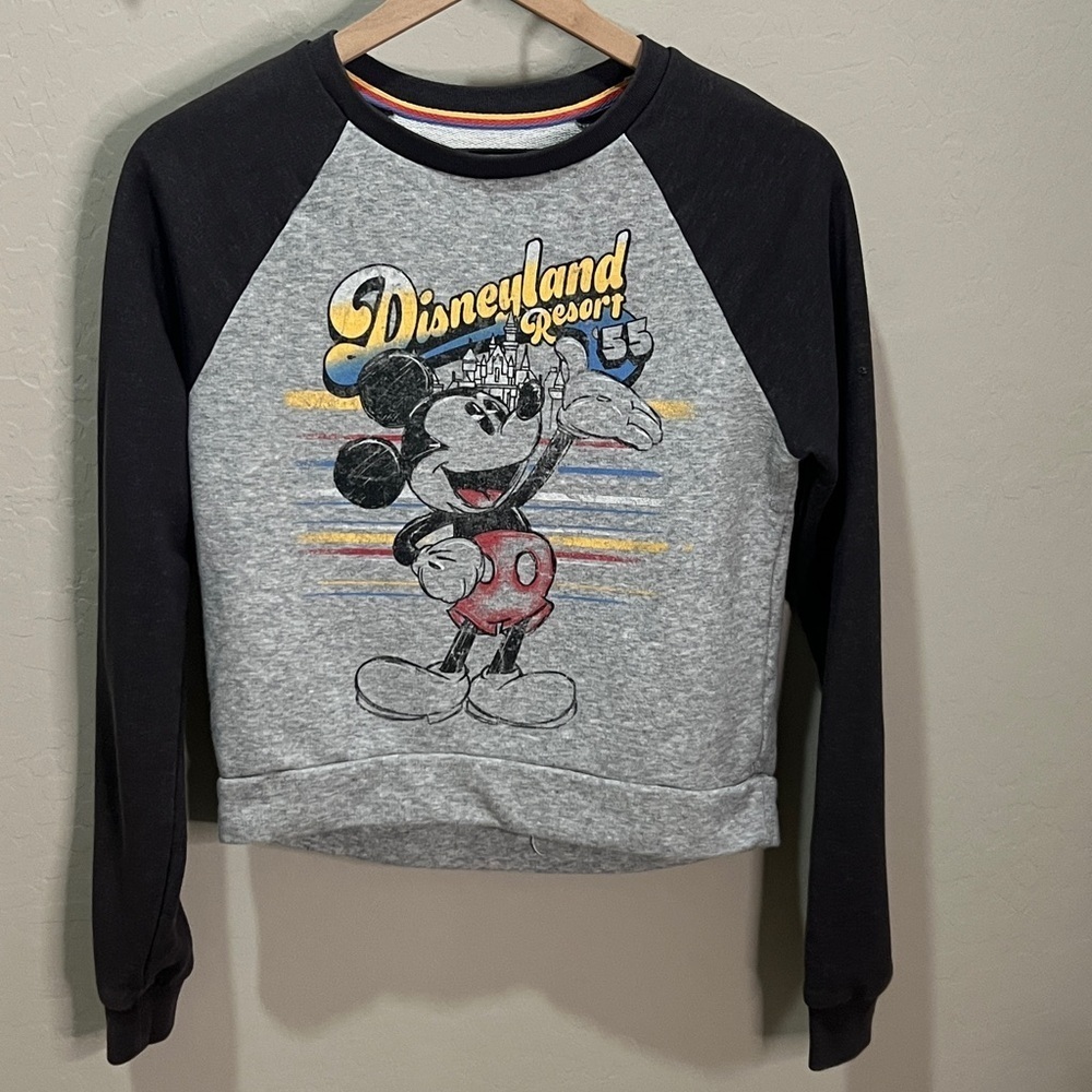 Vintage Disney Disneyland Resort ‘55 Parks Sweatshirt Shirt Top World Pullover